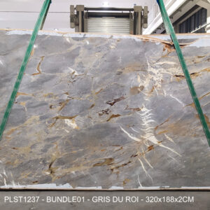 GRIS DU ROI (PLST1237)