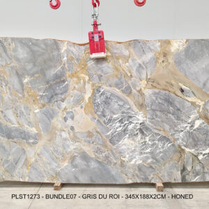 GRIS DU ROI (PLST1273)