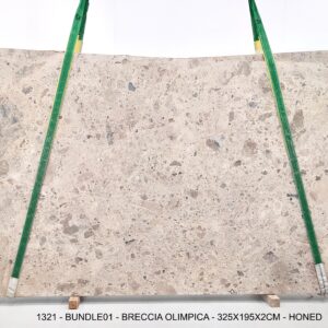 BRECCIA OLIMPICA (PLST1321)