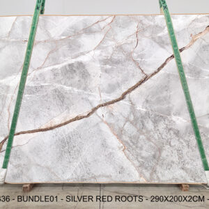SILVER RED ROOTS (PLST1336)
