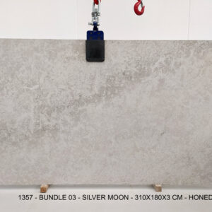 SILVER MOON (PLST1357)